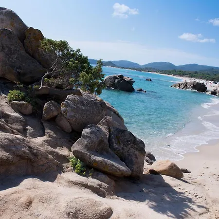 Cordolino Blu By Interhome *